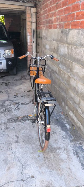 Bici estilo holandesa