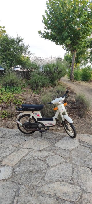 Vespino NLX