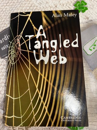 A Tangled Web Level 5