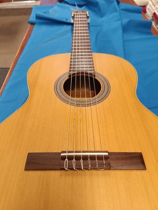Guitarra Alhambra Z-Nature