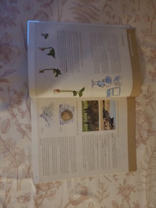 Biología y Geología 1 ESO