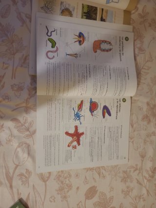 Biología y Geología 1 ESO