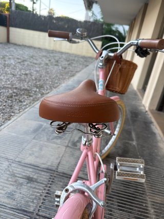 Bicicleta Bobbin Rosa rodado 20 Muy Buen Estado