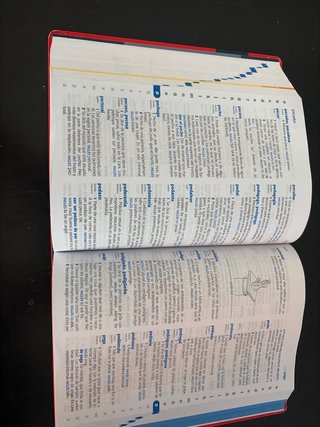 Diccionario Primaria, lengua española