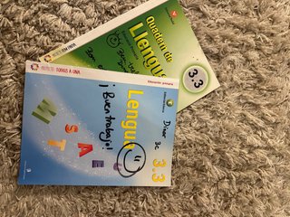 Lote de 2 cuadernos de Lengua (3.3 Primaria)