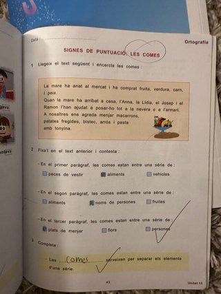 Lote de 2 cuadernos de Lengua (3.3 Primaria)