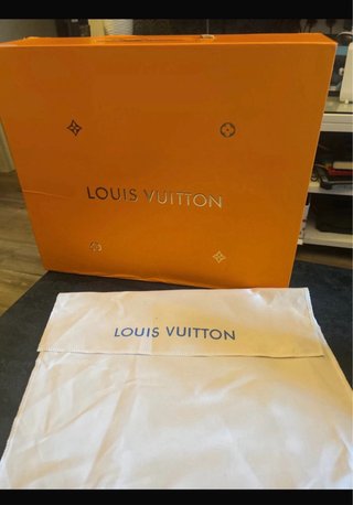 Bolso Louis Vuitton Speedy Marrón