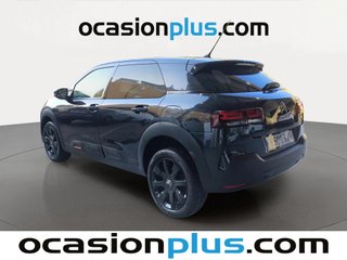 Citroen C4 Cactus PureTech 110 S&S Shine 81 kW (110 CV)