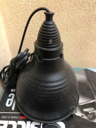 Lampada per terrario