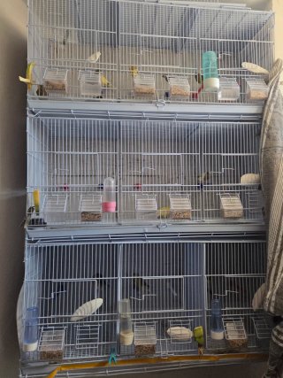 Jaula para pájaros multi-nivel
