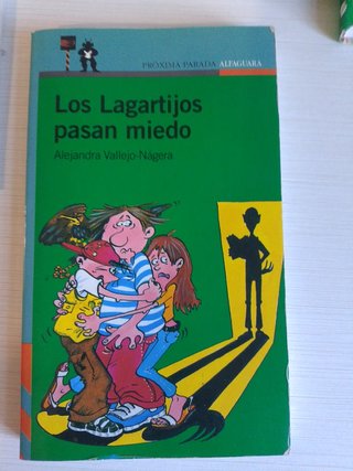 Lote 6 libros infantiles aventuras – Casa Mágica d