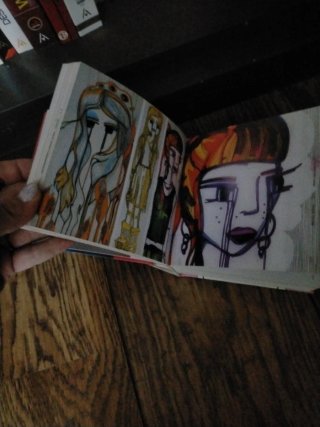 Libro de ilustración