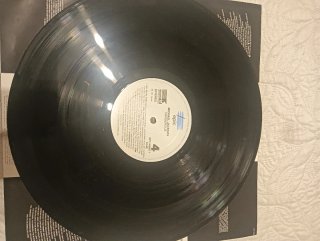 Vinilo Michael Jackson Dangerous Doble