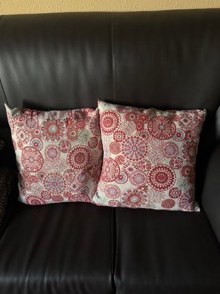 2 Cojines Decorativos
