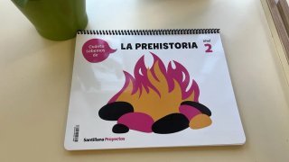 Cuanto sabemos de la prehistoria