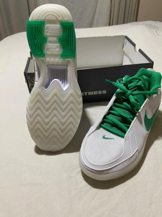 Nike LeBron Witness IX sin estrenar