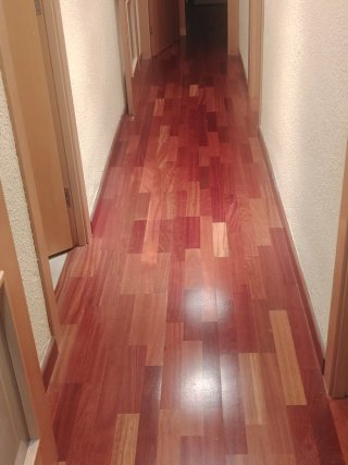 Servicio Profesional de Limpieza en Valencia.