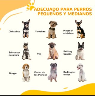 Barrera para perros extensible cierre automático