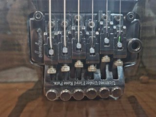 Jackson Dinky DK2R