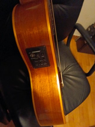 Guitarra Banus con previo Fishman