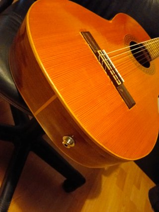 Guitarra Banus con previo Fishman