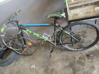 Bicicleta de Montaña