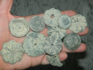 Lote Cabezas Clavo Bronce Ibero Romano