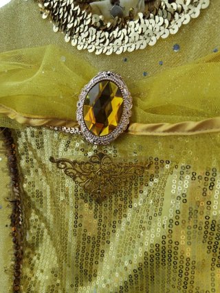 Costume Bellezza e Bestia