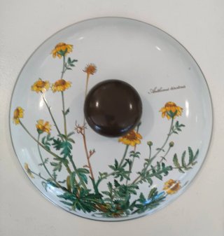 Villeroy & Boch Botanica Pentola in Metallo Smalta
