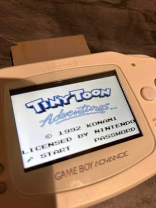 Tiny Toon Adventures 1992 Game Boy