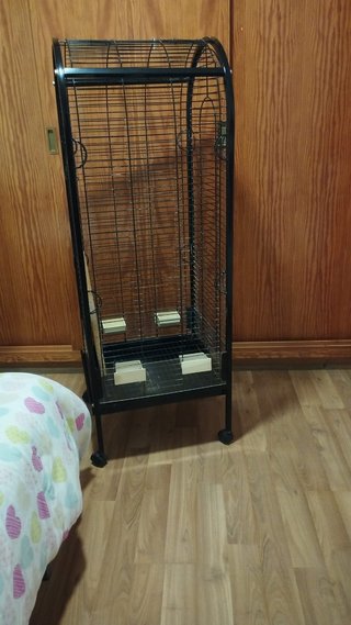Jaula para Loro Negra