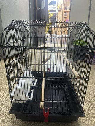 Jaula para pájaros negra