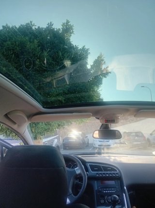 Peugeot 3008 2010