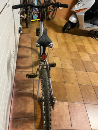 Bicicleta
