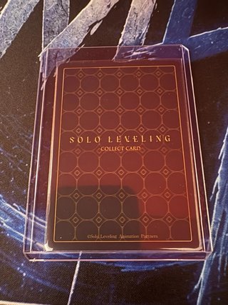 SL1E-087-P Solo Leveling Mapniverse Baek Yoonho.