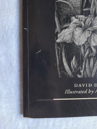 Libro ilustrado
