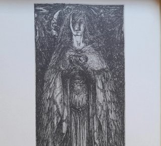 Libro ilustrado