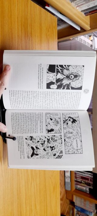 Mangavisión Guía del tebeo japonés
