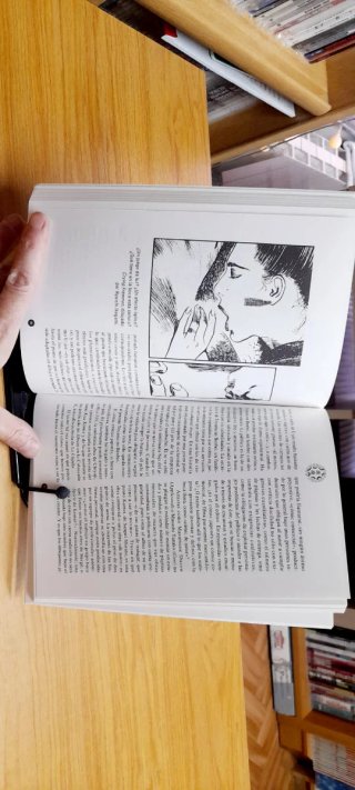 Mangavisión Guía del tebeo japonés