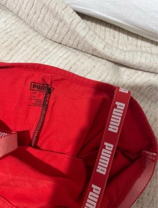 Mono Puma rojo con logo