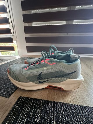 Nike Pegasus Trail 5 GTX Verde Naranja