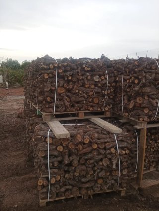 Leña de parra para chimenea o barbacoa