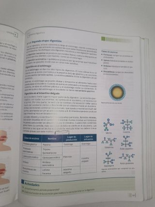 Anatomofisiología y patología básicas