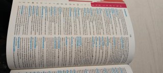 Diccionario Avanzado Primaria. Lengua española