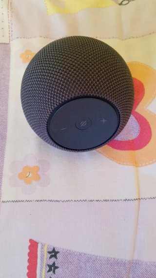 Altavoz Alexa gris con cargador