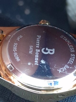 Orologio Donna Pierre Bonnet Oro Acciaio Quarzo