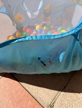 Piscina de bolas infantil