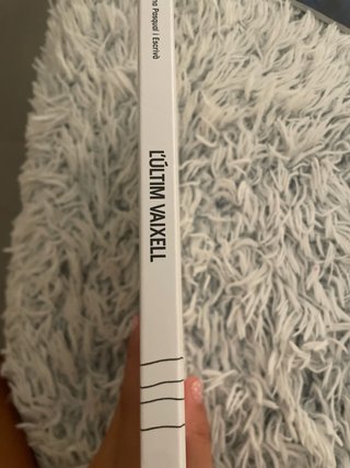 L’ULTIM VAIXELL