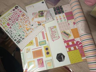 Lote Scrapbooking Colección Tropic Nuevo
