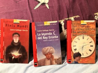 Lote libros Laura Gallego